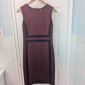 Calvin Klein Burgundy And Black Dress